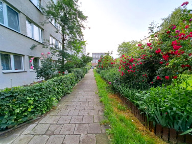 Mieszkanie Wrocław