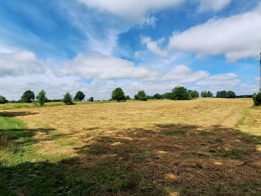 Działka rolna Wólka