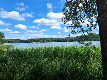 Działka Wólka