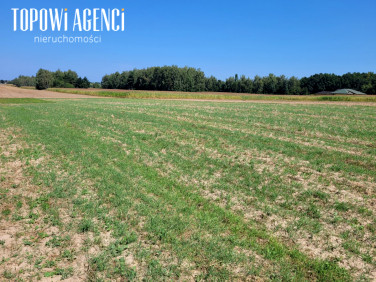 Działka Wola Pasikońska