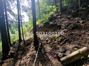 Działka w górach