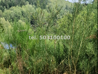 Działka Krynica-Zdrój