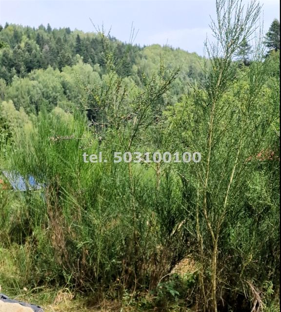 Działka Krynica-Zdrój