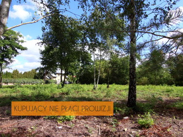 Działka nad jeziorem