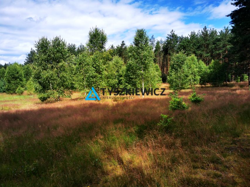 Działka leśna Wygonin