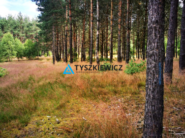 Działka usługowa Wygonin