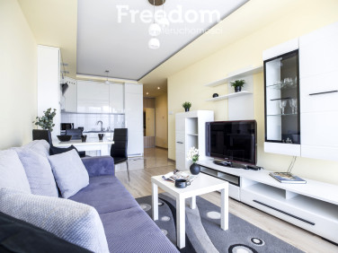 Mieszkanie Rzeszów wynajem