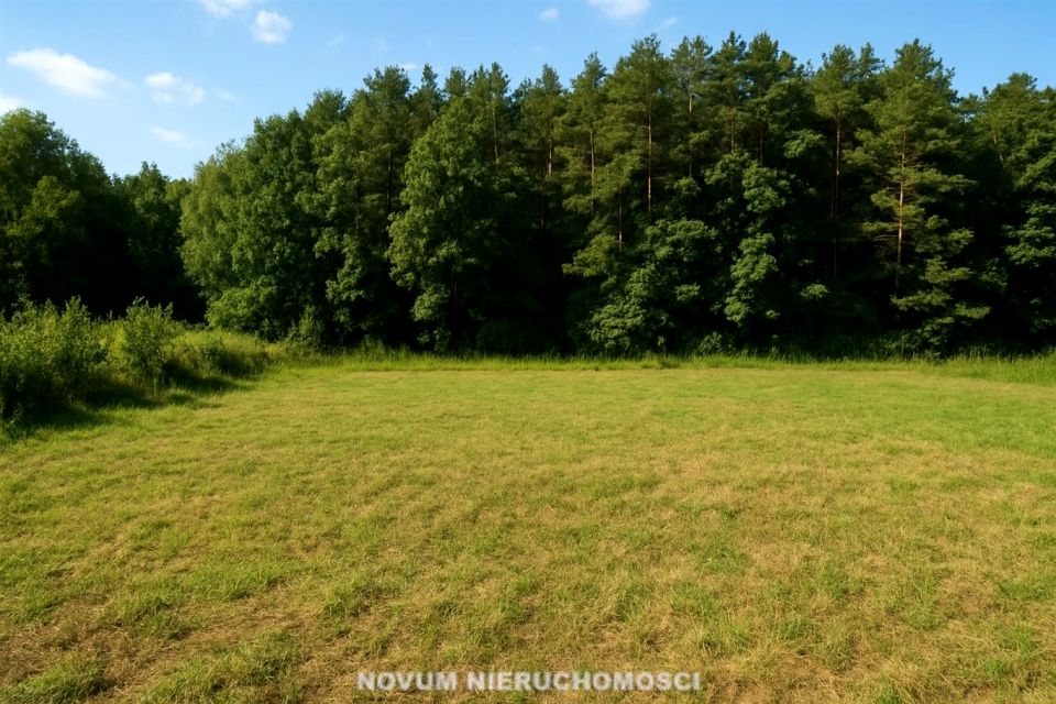 Działka przy lesie
