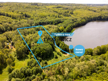 Działka przy lesie
