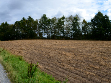 Działka Donimierz
