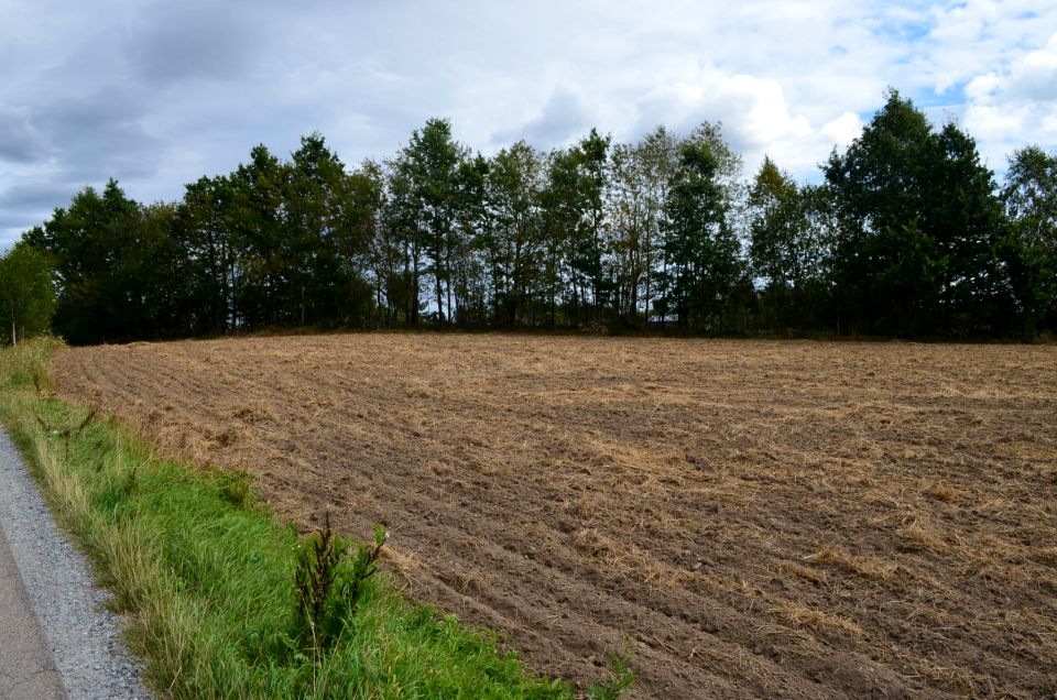 Działka Donimierz