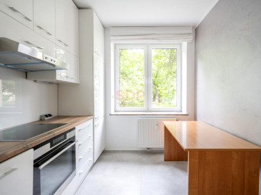 Lokal Wrocław