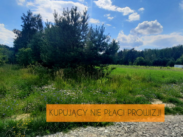 Działka rolna Bogatki sprzedam