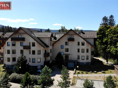 Mieszkanie apartamentowiec wynajem