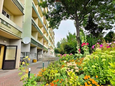 Mieszkanie Bielsko-Biała