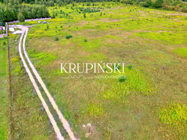 Działka inna Aleksandrów Kujawski sprzedam