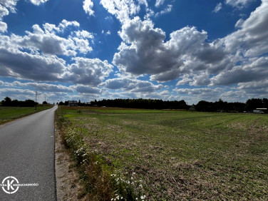 Działka Witków