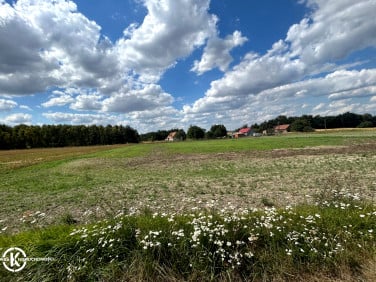 Działka budowlana Witków sprzedam