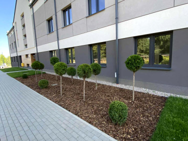 Mieszkanie apartamentowiec Łódź