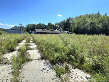 Lokal Dylągówka