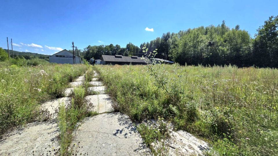 Lokal Dylągówka
