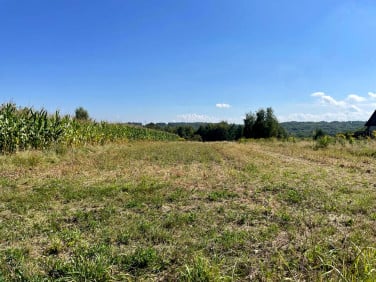 Działka rekreacyjna Ryczów