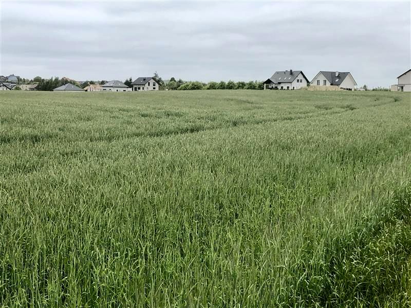 Działka inwestycyjna Gdańsk sprzedam