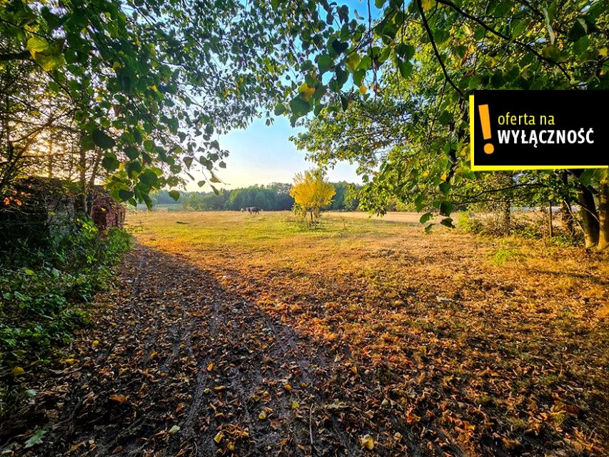 Działka inna Niedźwiedź