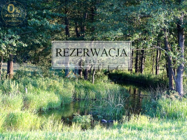 Działka PODWYSOKIE JELENIEWSKIE