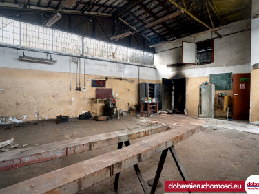 Budynek użytkowy Szubin