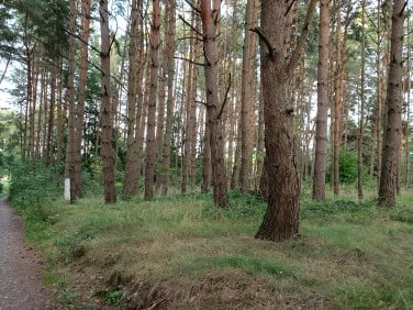Działka budowlana Kołczewo