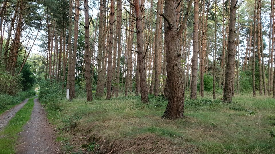 Działka budowlana Kołczewo