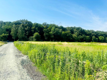 Działka rolna Pruszowice