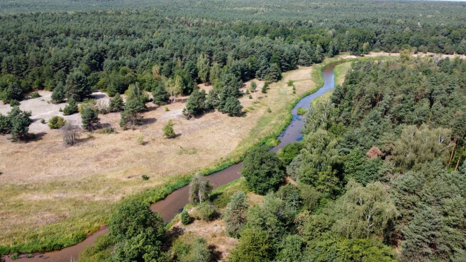 Działka Wola Chodkowska
