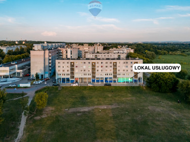 Lokal Kraków