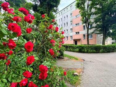 Mieszkanie Inowrocław