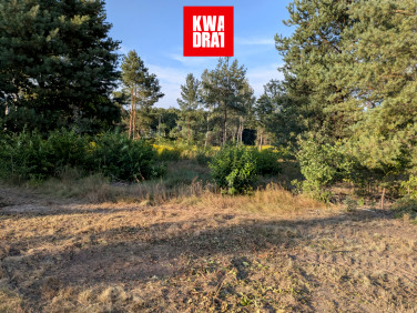 Działka budowlana Zalesie sprzedam
