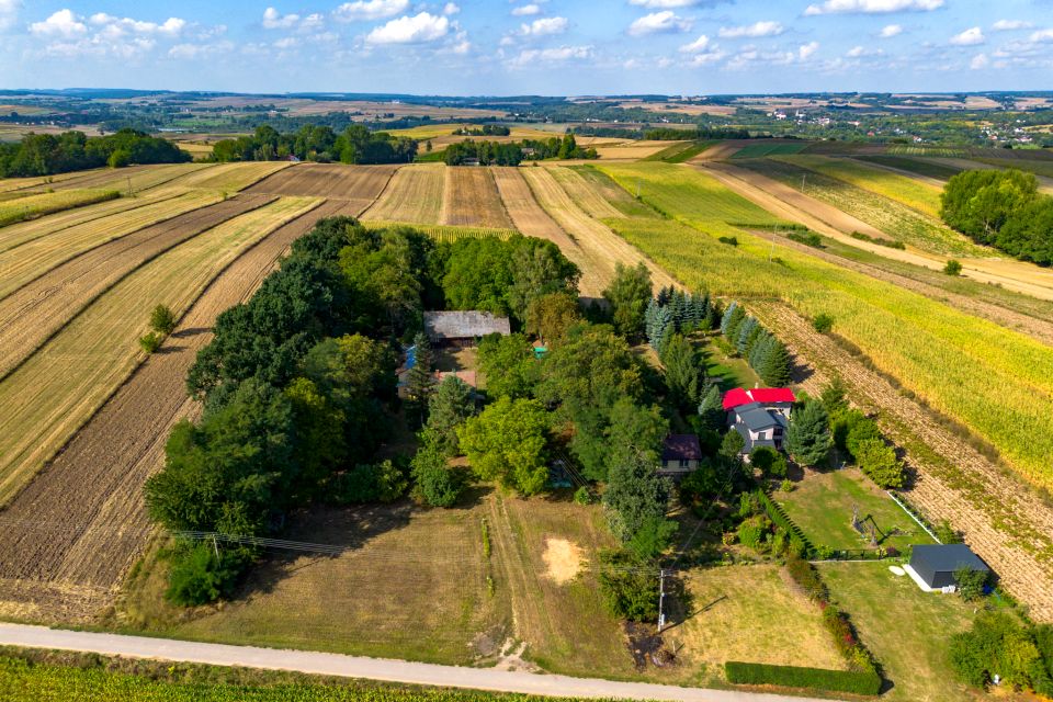Działka budowlana Proszowice