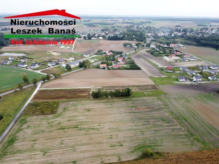 Zdjęcie 3