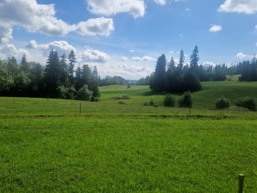 Działka rolno-leśna Maruszyna sprzedam