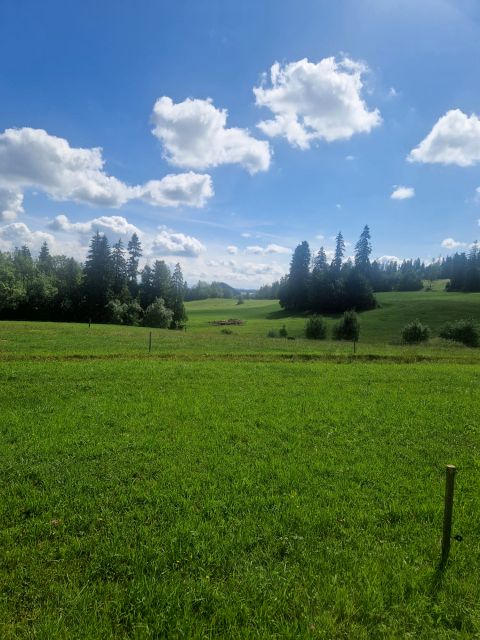 Działka rolno-leśna Maruszyna sprzedam