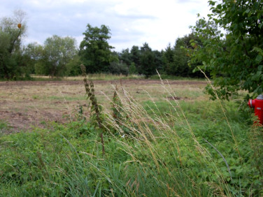 Działka Rzeplin