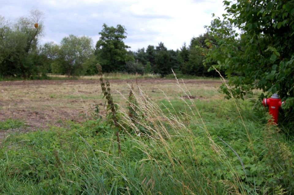 Działka Rzeplin