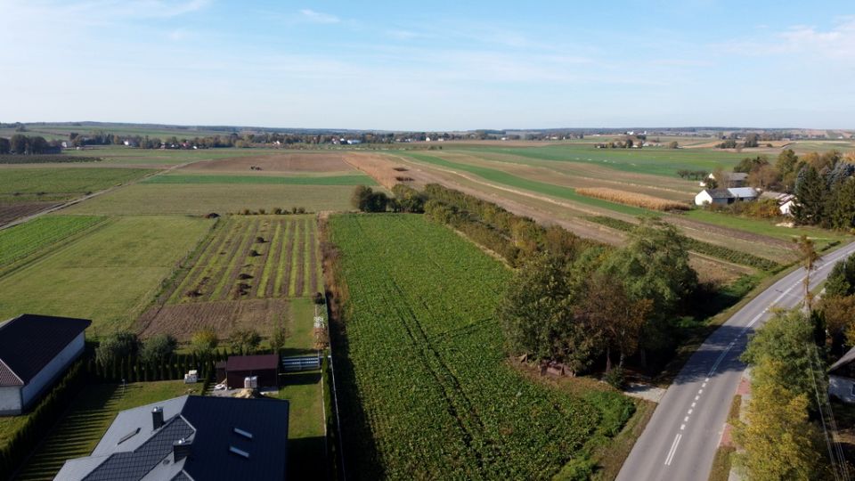Działka Krasnystaw
