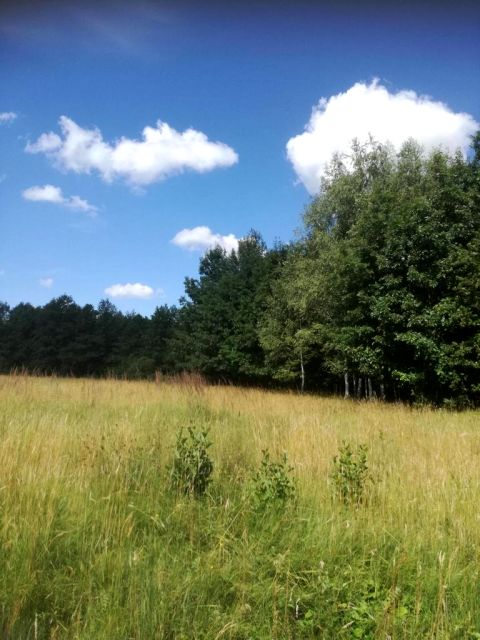 Działka Garbatówka