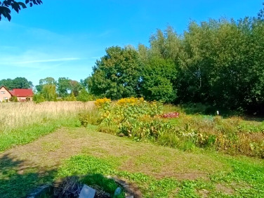 Działka rolna Parlino