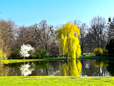 Mieszkanie Wrocław