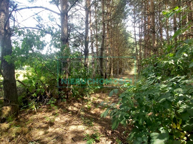Działka Nadarzyn