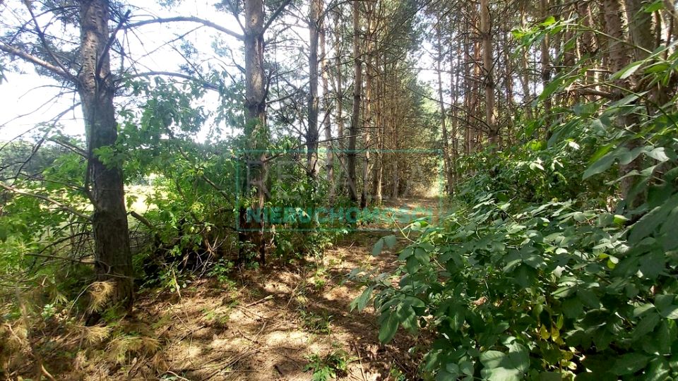 Działka Nadarzyn