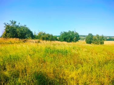 Działka sieradowice